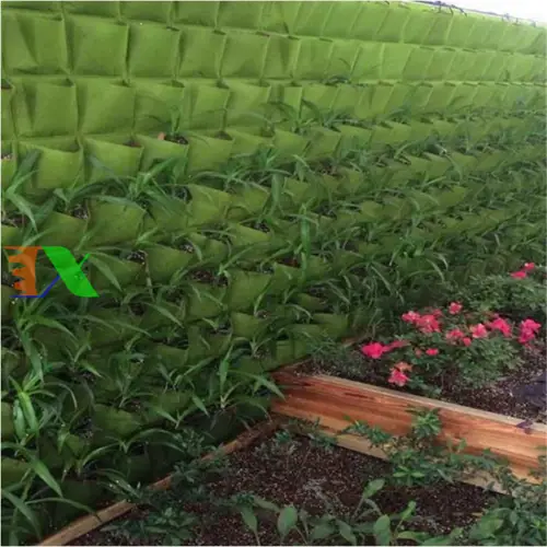 Túi trồng cây trên tường giải pháp tiện lợi cho không gian xanh trong nhà