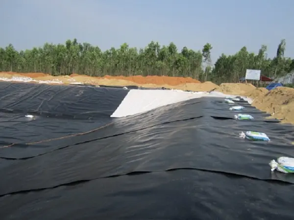 Bạt Nhựa HDPE Lót Hầm Biogas - Giải Pháp Hiện Đại cho Quản Lý Chất Thải