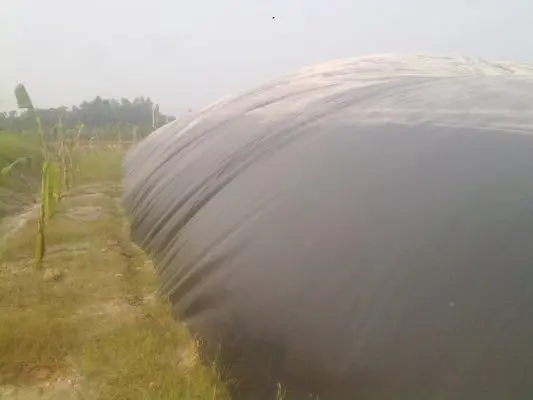 Hầm Biogas Phủ Bạt Nhựa HDPE - Giải Pháp Năng Lượng Xanh Cho Nông Thôn Việt Nam