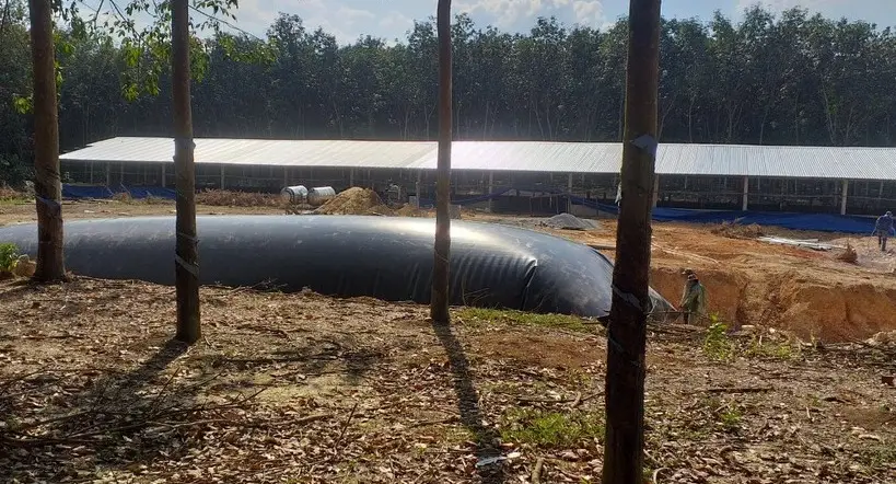 Túi Biogas Ứng Dụng Vật Liệu HDPE - Giải Pháp Xanh Cho Năng Lượng Sạch